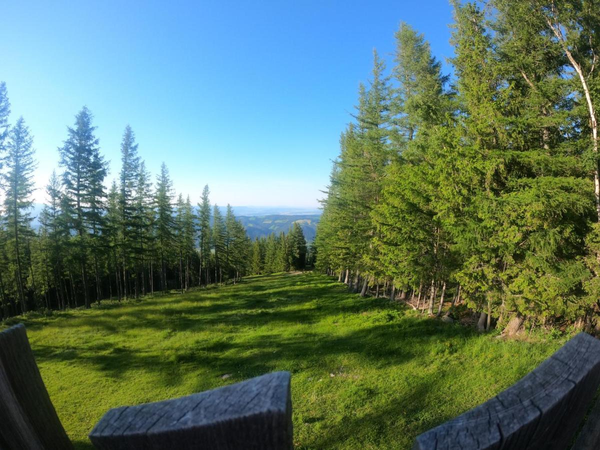 سانكت كورونا ام وتشسيل Weixl Schi&Bike Appartements-Bike In&Bike Out Neben Wexl Trails Bikepark المظهر الخارجي الصورة