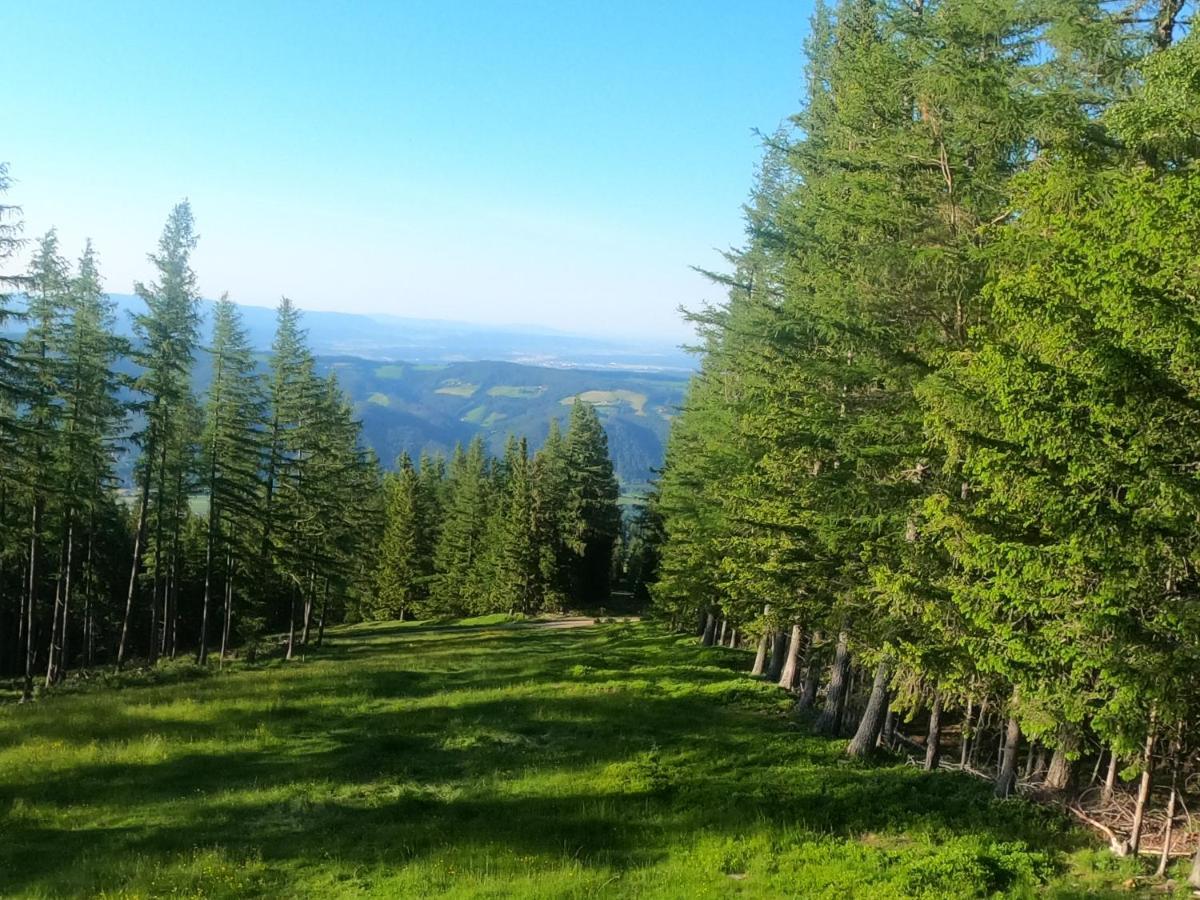 سانكت كورونا ام وتشسيل Weixl Schi&Bike Appartements-Bike In&Bike Out Neben Wexl Trails Bikepark المظهر الخارجي الصورة