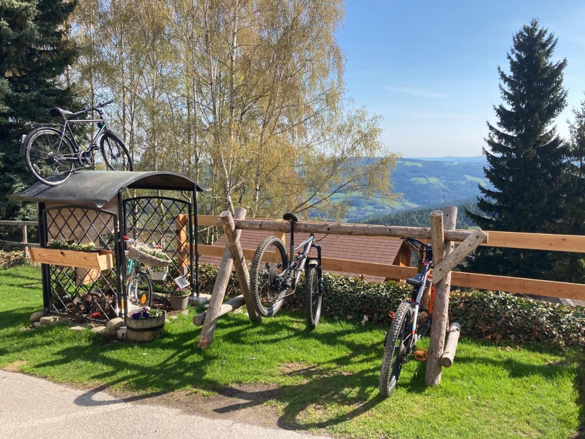 سانكت كورونا ام وتشسيل Weixl Schi&Bike Appartements-Bike In&Bike Out Neben Wexl Trails Bikepark المظهر الخارجي الصورة